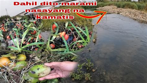 kayatan sa ilog|Sa banyo nila ginawa ang masaganang kantotan .